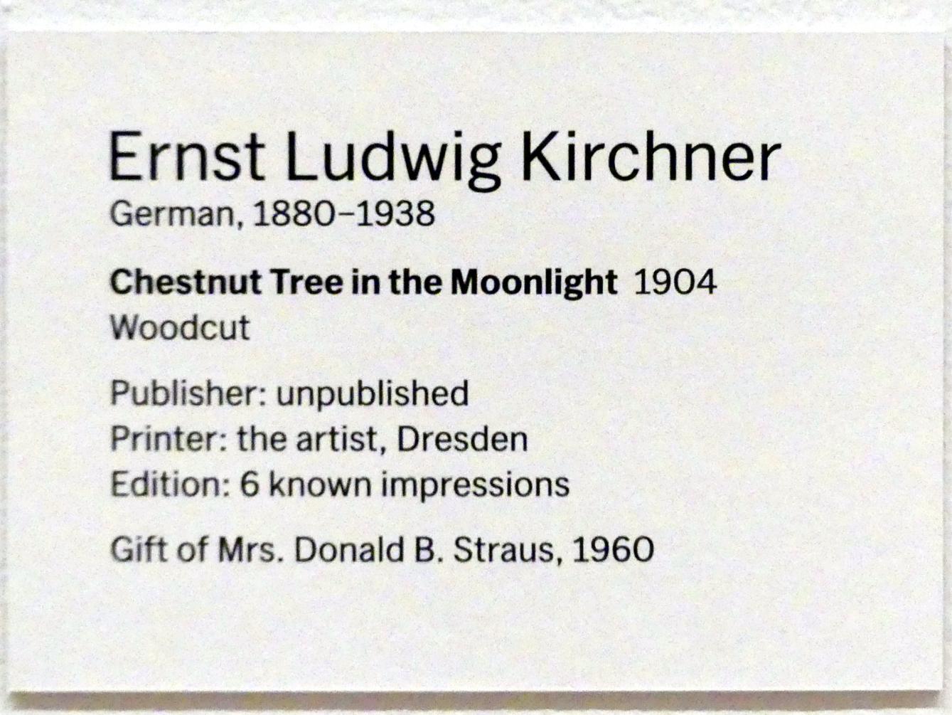 Ernst Ludwig Kirchner (1904–1933), Kastanienbaum im Mondlicht, New York, Museum of Modern Art (MoMA), Saal 504, 1904, Bild 2/2