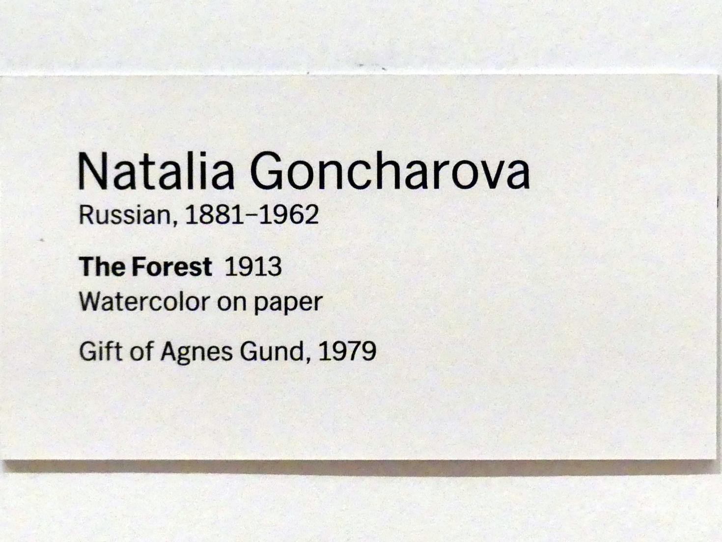 Natalija Sergejewna Gontscharowa (1908–1954), Der Wald, New York, Museum of Modern Art (MoMA), Saal 505, 1913, Bild 2/2