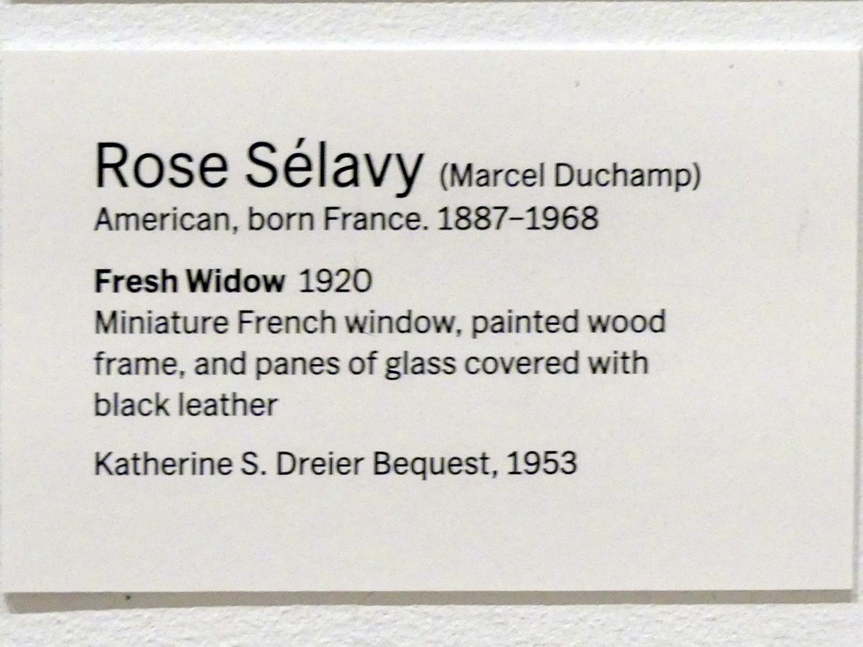 Marcel Duchamp (1911–1964), Grüne Witwe, New York, Museum of Modern Art (MoMA), Saal 509, 1920, Bild 3/3