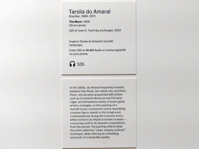 Tarsila do Amaral (1928–1929), Der Mond, New York, Museum of Modern Art (MoMA), Saal 514, 1928, Bild 2/2