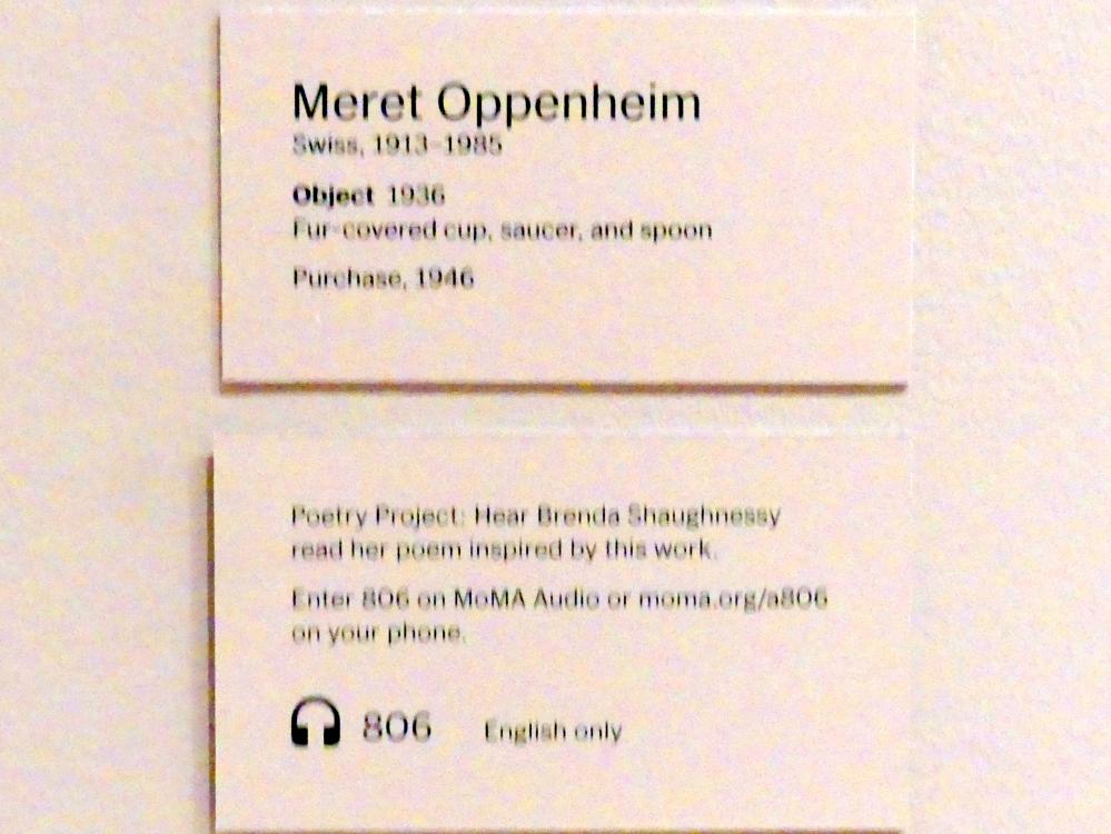 Meret Oppenheim (1936–1966), Objekt, New York, Museum of Modern Art (MoMA), Saal 517, 1936, Bild 4/4