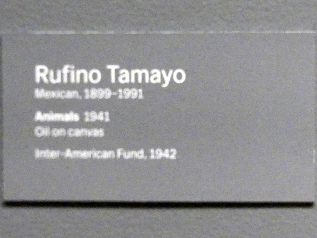 Rufino Tamayo (1941–1988), Tiere, New York, Museum of Modern Art (MoMA), Saal 522, 1941, Bild 2/2