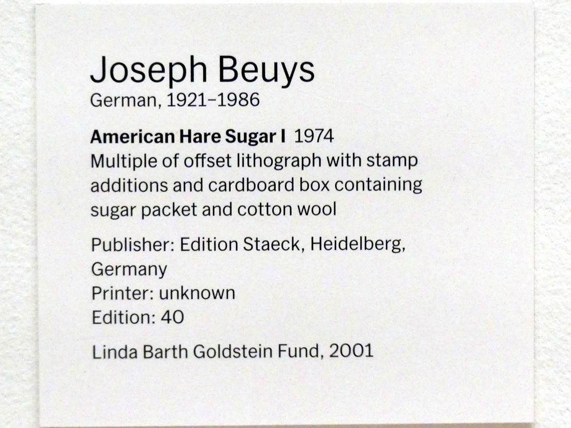 Joseph Beuys (1948–1985), Amerikanischer Hasenzucker I, New York, Museum of Modern Art (MoMA), Saal 416, 1974, Bild 3/3