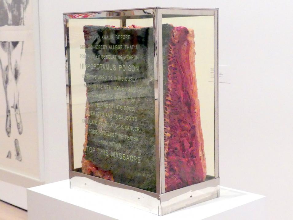Paul Thek (1965), Nilpferdgift, New York, Museum of Modern Art (MoMA), Saal 420, 1965, Bild 2/5