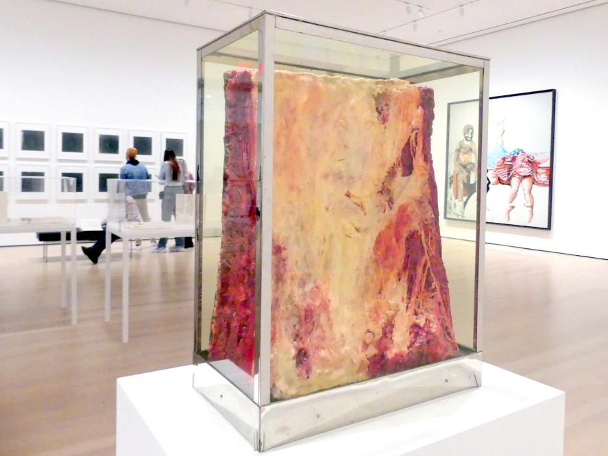 Paul Thek (1965), Nilpferdgift, New York, Museum of Modern Art (MoMA), Saal 420, 1965, Bild 3/5