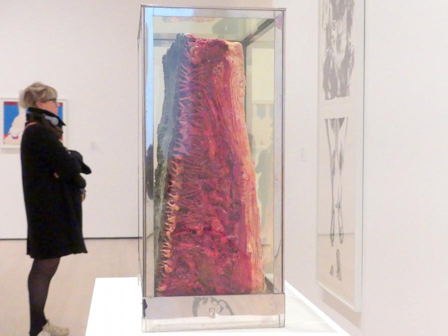 Paul Thek (1965), Nilpferdgift, New York, Museum of Modern Art (MoMA), Saal 420, 1965, Bild 4/5