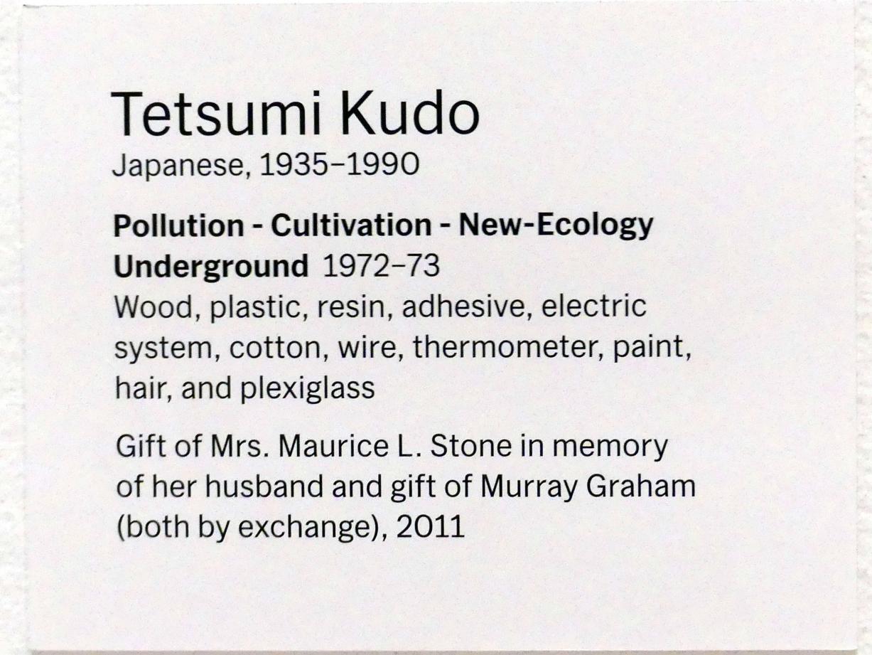 Tetsumi Kudō (1972), Verschmutzung - Anbau - Neu-Ökologie-Untergrund, New York, Museum of Modern Art (MoMA), Saal 420, 1972–1973, Bild 4/4