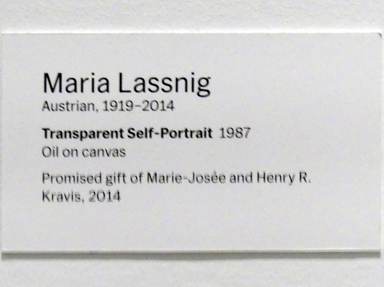 Maria Lassnig (1945–2011), Transparentes Selbstporträt, New York, Museum of Modern Art (MoMA), Saal 202, 1987, Bild 2/2