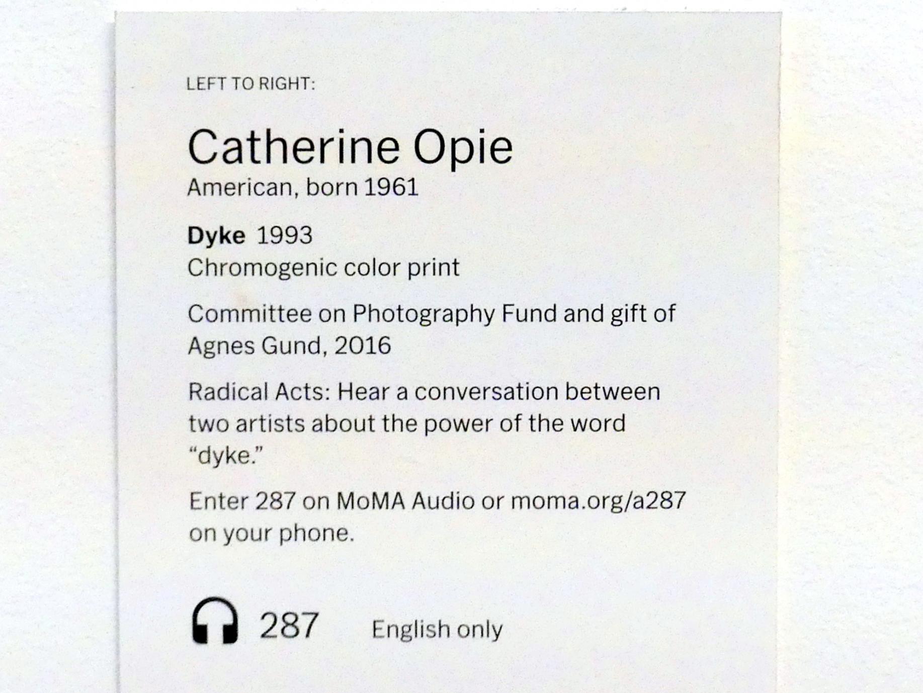 Catherine Opie (1993), Dyke, New York, Museum of Modern Art (MoMA), Saal 202, 1993, Bild 2/2