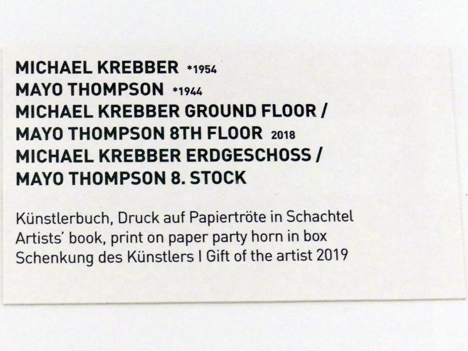Michael Krebber (2018), Michael Krebber Erdgeschoss / Mayo Thompson 8. Stock, München, Museum Brandhorst, Saal 0.8, 2018, Bild 2/2