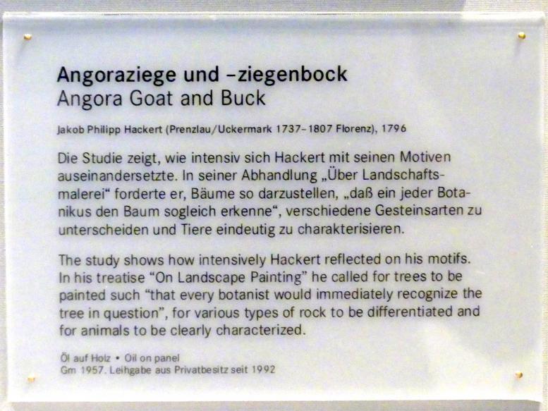 Jakob Philipp Hackert (1772–1805), Angoraziege und -ziegenbock, Nürnberg, Germanisches Nationalmuseum, 19. Jahrhundert - 2, 1796, Bild 2/2