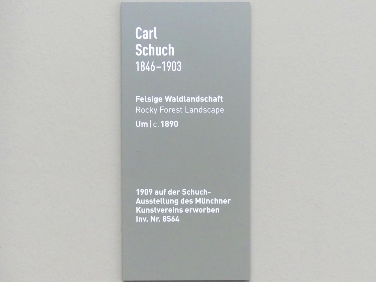 Carl Schuch (1876–1890), Felsige Waldlandschaft, München, Neue Pinakothek in der Alten Pinakothek, Kabinett 1, um 1890, Bild 2/2