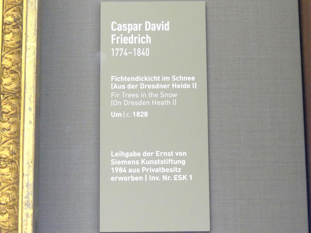 Caspar David Friedrich (1798–1836), Fichtendickicht im Schnee (Aus der Dresdner Heide II), München, Neue Pinakothek in der Alten Pinakothek, Saal I, um 1828, Bild 2/2