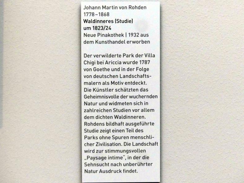 Johann Martin von Rohden (1818–1823), Waldinneres (Studie), München, Neue Pinakothek in der Sammlung Schack, Saal 19, um 1823–1824, Bild 2/2