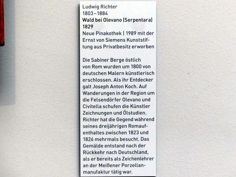 Ludwig Richter (1824–1884), Wald bei Olevano (Serpentara), München, Neue Pinakothek in der Sammlung Schack, Saal 19, 1829, Bild 2/2