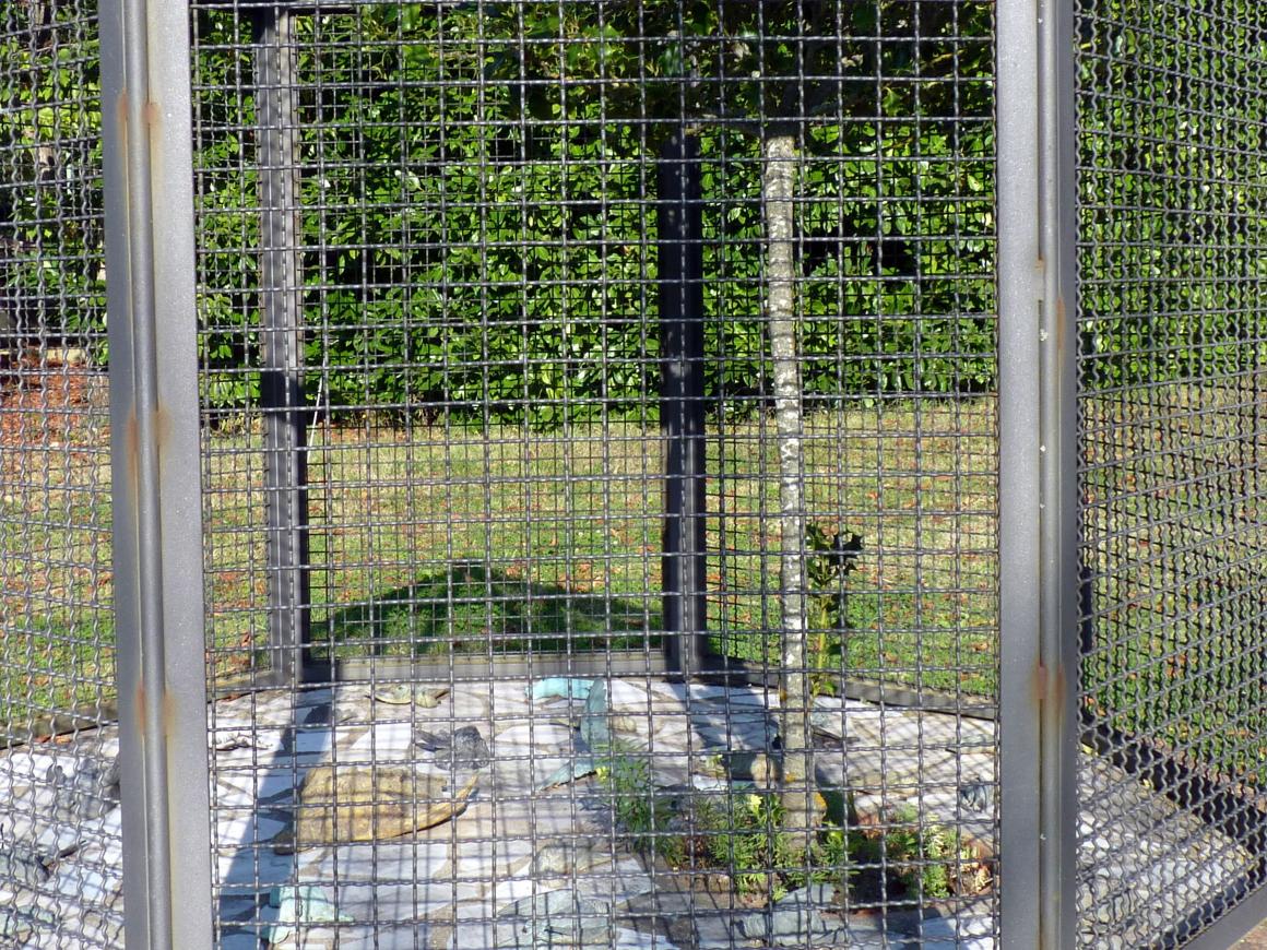 Daniel Spoerri (1955–2014), Voliere der schlafenden Vögel, Seggiano, Il Giardino di Daniel Spoerri, 1997, Bild 2/2