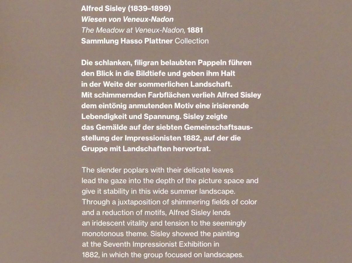 Alfred Sisley (1872–1896), Wiesen von Veneux-Nadon, Potsdam, Museum Barberini, Saal B6, 1881, Bild 2/2