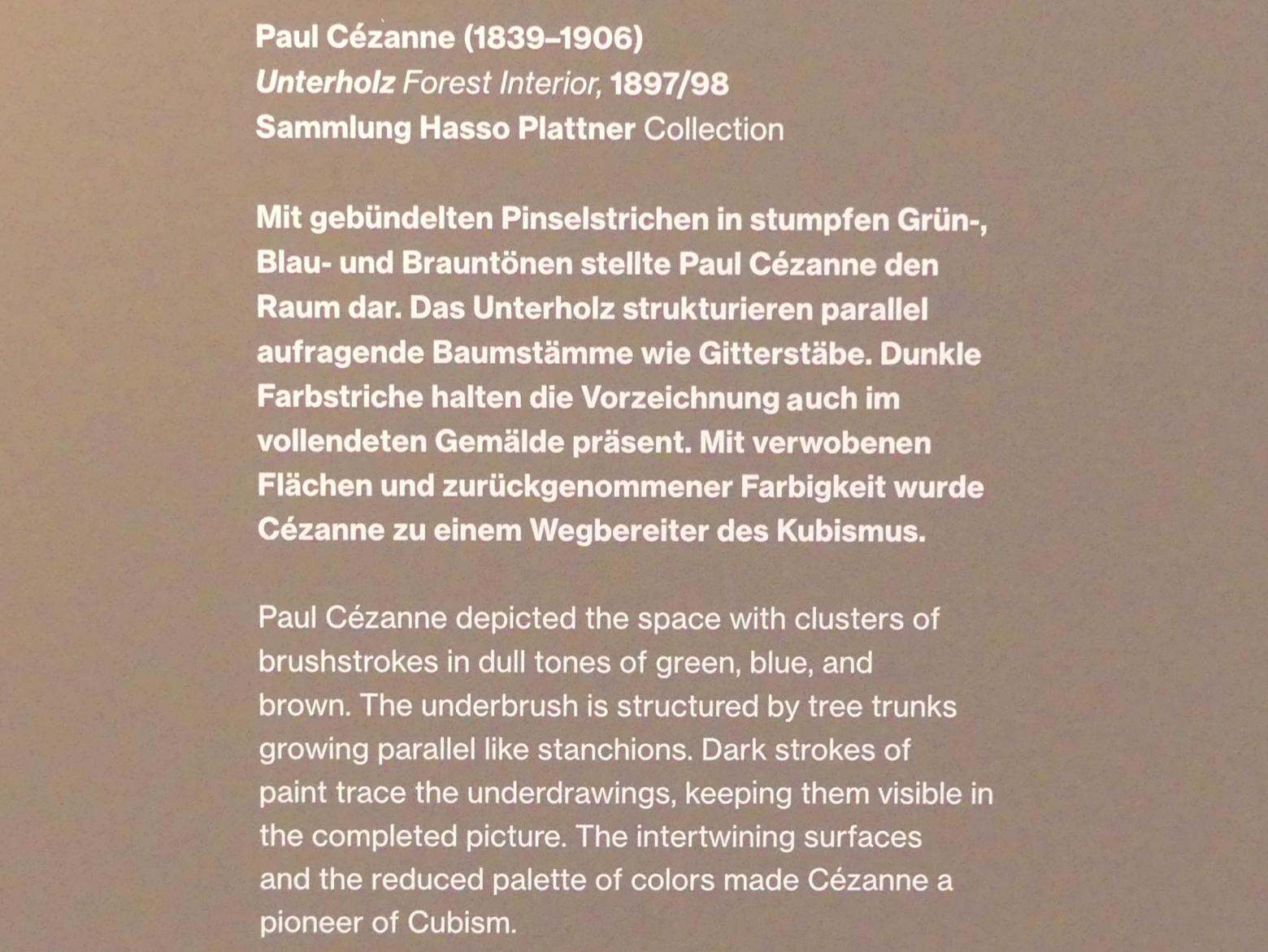 Paul Cézanne (1866–1906), Unterholz, Potsdam, Museum Barberini, Saal B6, 1897–1898, Bild 2/2
