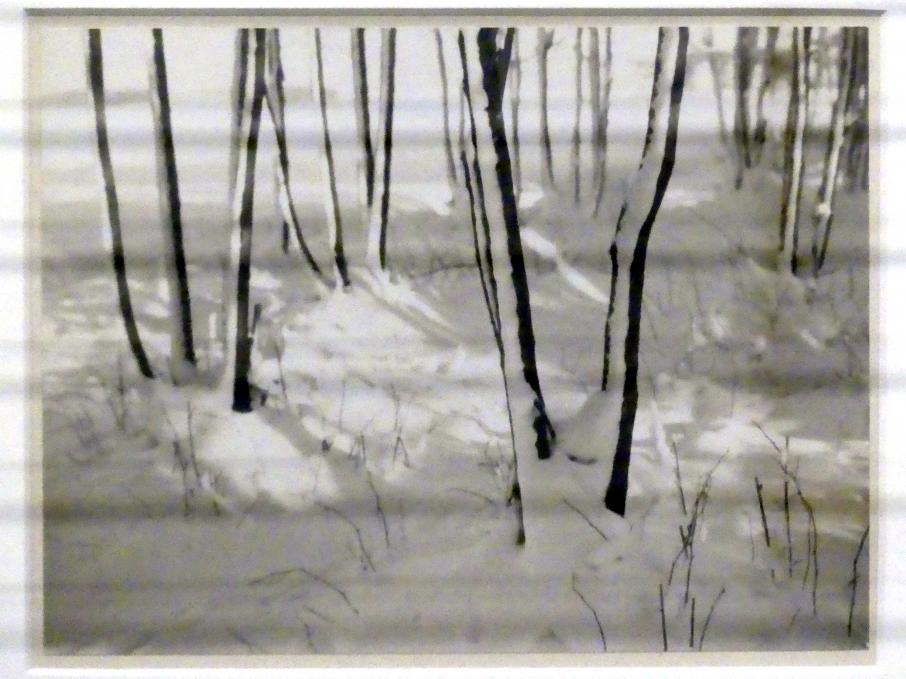 Heinz Bitzan (1929–1935), Bäume im Winter, Linz, Lentos Kunstmuseum Linz, Saal 5 - Fotokabinett, 1935, Bild 2/3
