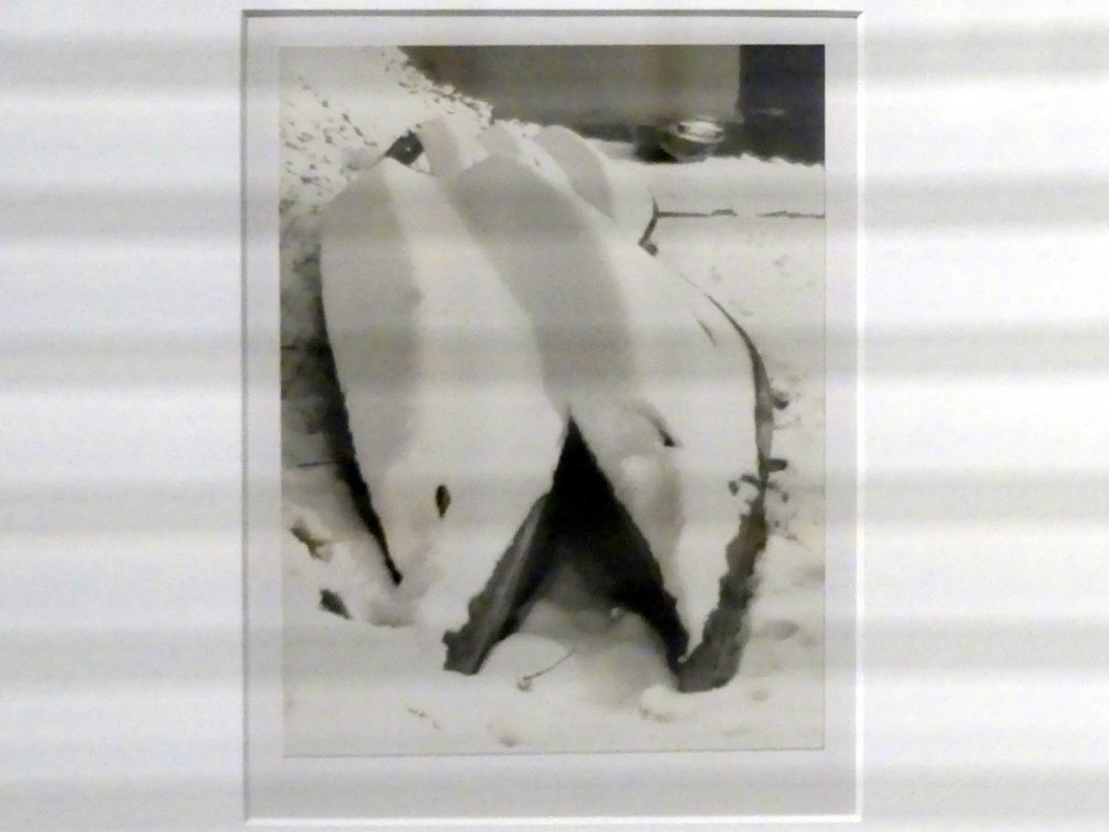Heinz Bitzan (1929–1935), Boote im Winter, Linz, Lentos Kunstmuseum Linz, Saal 5 - Fotokabinett, um 1930, Bild 2/3