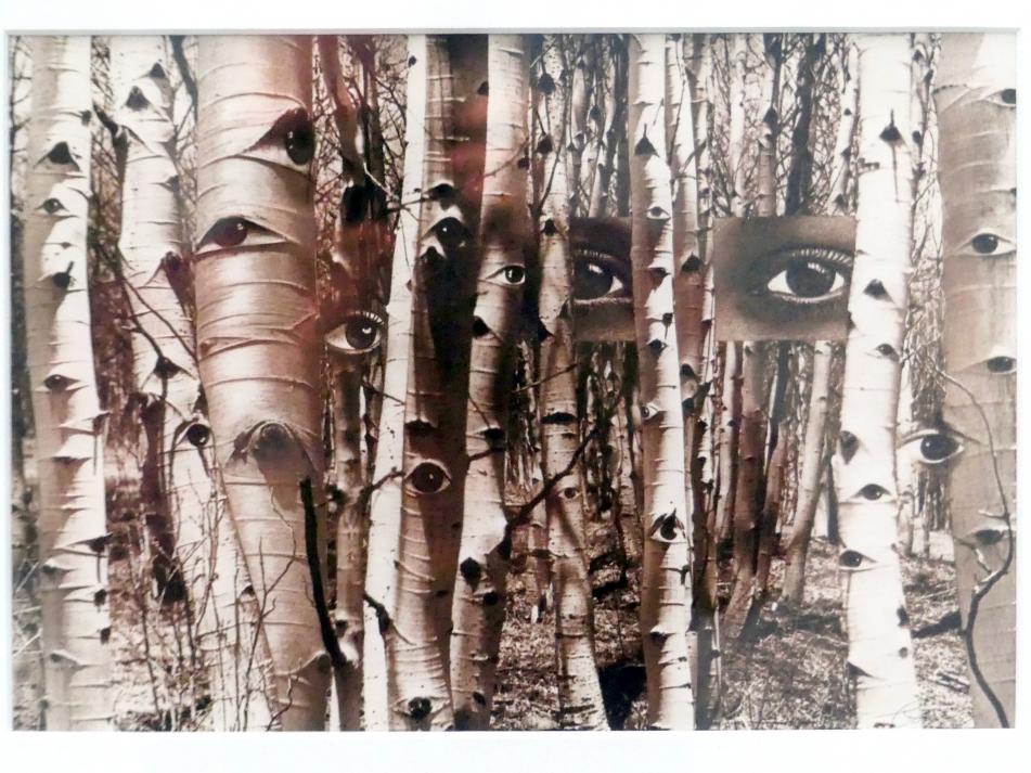 Herbert Bayer (1925–1972), Aspen trees (Auf der Suche nach der vergangenen Zeit), Linz, Lentos Kunstmuseum Linz, Saal 7 - Nachkriegsjahre, 1959, Bild 2/3