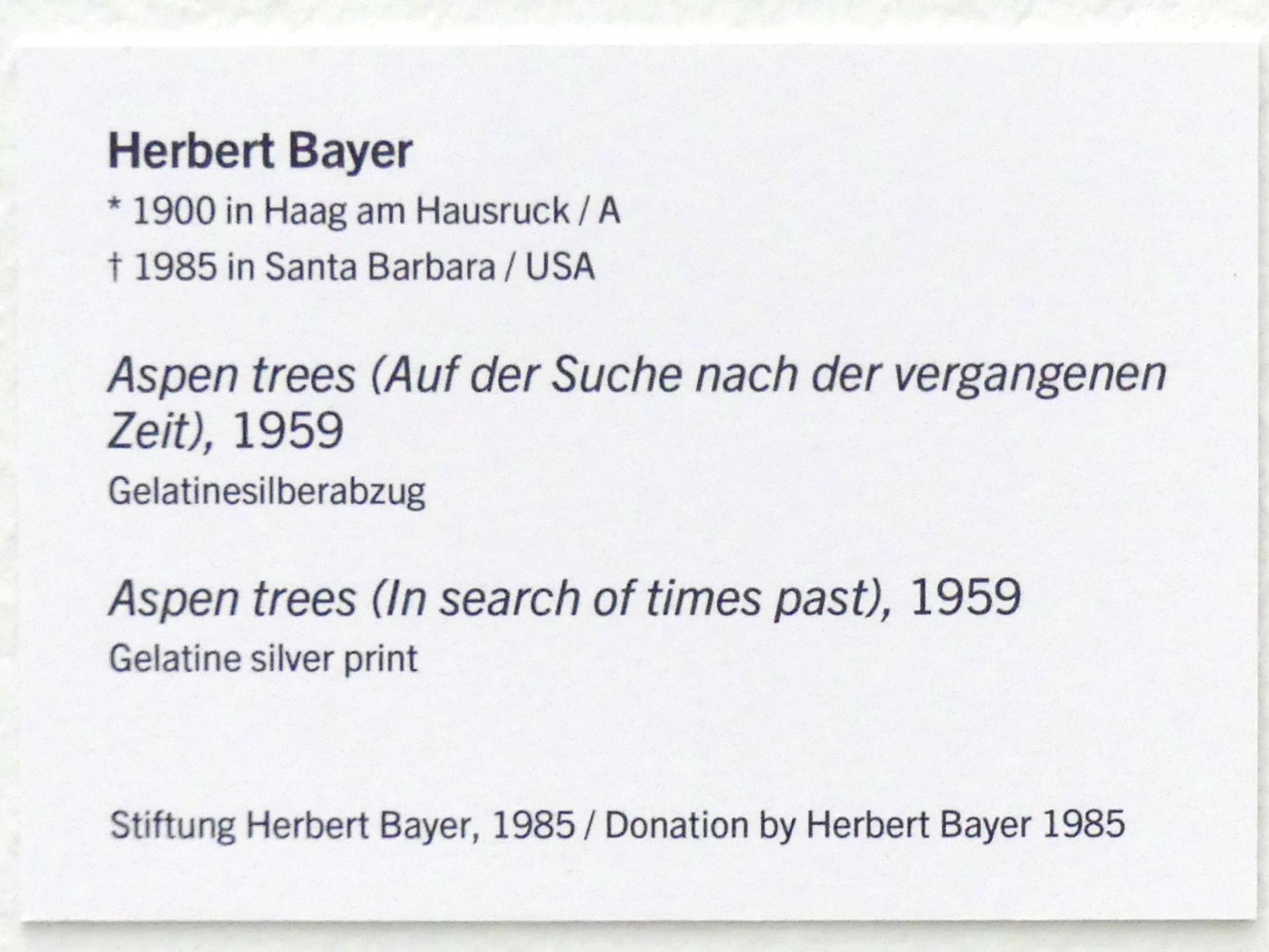 Herbert Bayer (1925–1972), Aspen trees (Auf der Suche nach der vergangenen Zeit), Linz, Lentos Kunstmuseum Linz, Saal 7 - Nachkriegsjahre, 1959, Bild 3/3