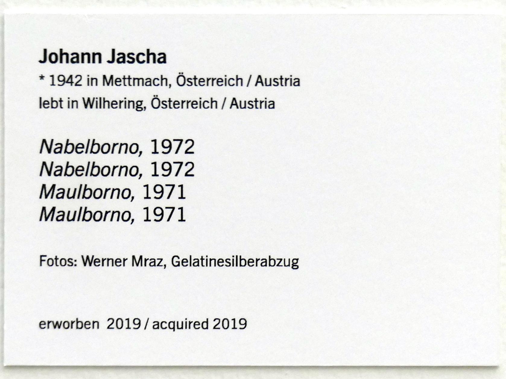 Johann Jascha (1971–1972), Maulborno, Linz, Lentos Kunstmuseum Linz, Saal 9 - Das Jahrzehnt des Aufbruchs, 1971, Bild 3/3