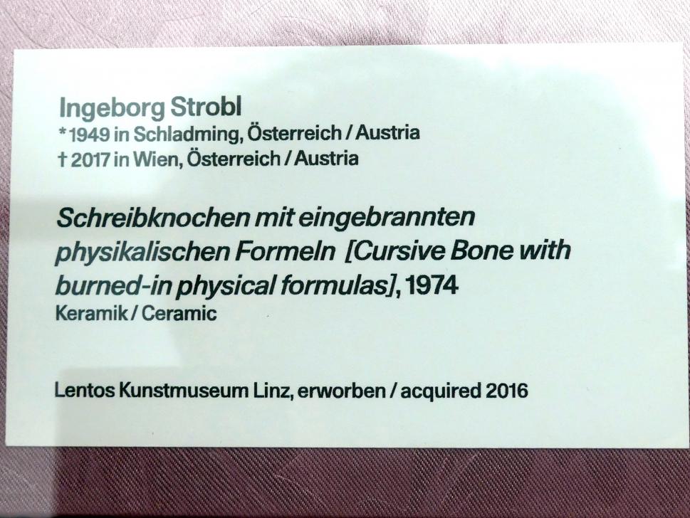Ingeborg Strobl (1973&ndash;1974), Schreibknochen mit eingebrannten physikalischen Formeln, Linz, Lentos Kunstmuseum Linz, Saal 10 - Zu schade für die Lade, 1974, Bild 2/5
