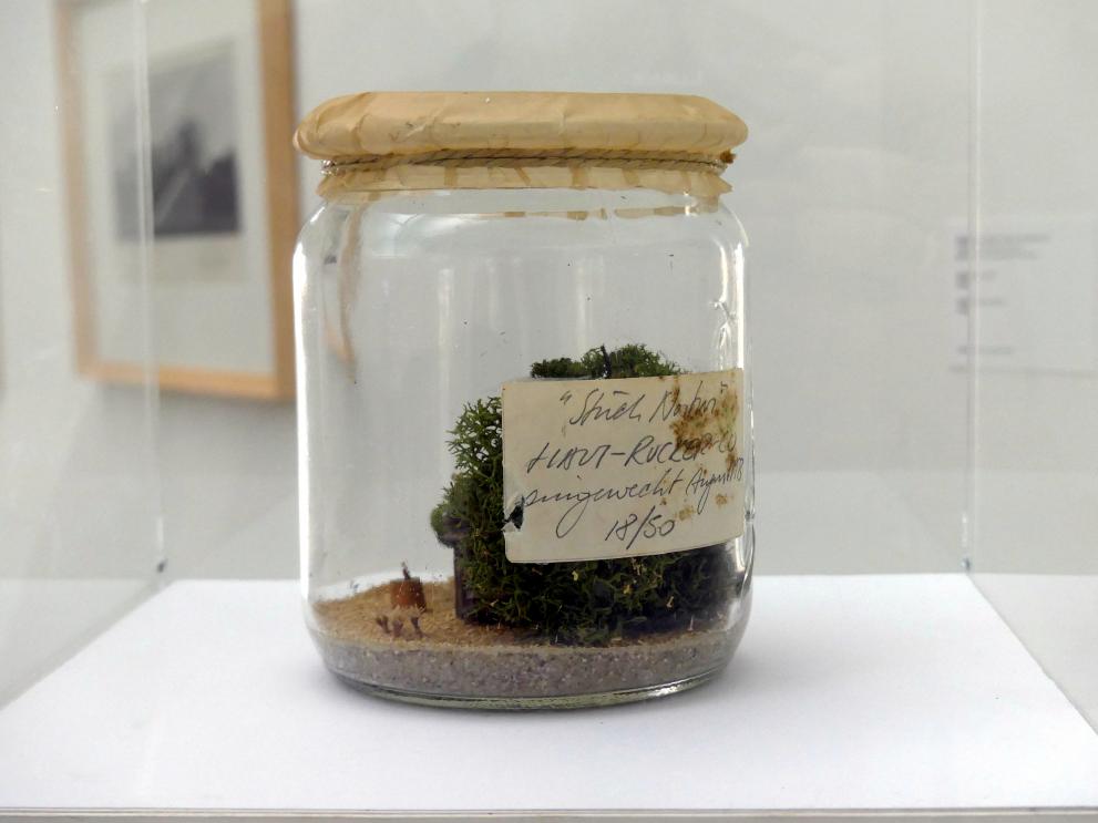 Günter Zamp Kelp (1970–1973), Stück Natur, Linz, Lentos Kunstmuseum Linz, Saal 11 - Performance, Konzeptionelle Kunst und Fotorealismus, 1973, Bild 3/5