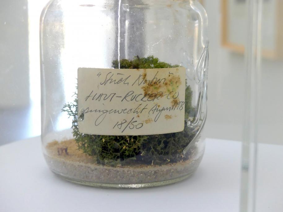 Günter Zamp Kelp (1970–1973), Stück Natur, Linz, Lentos Kunstmuseum Linz, Saal 11 - Performance, Konzeptionelle Kunst und Fotorealismus, 1973, Bild 4/5