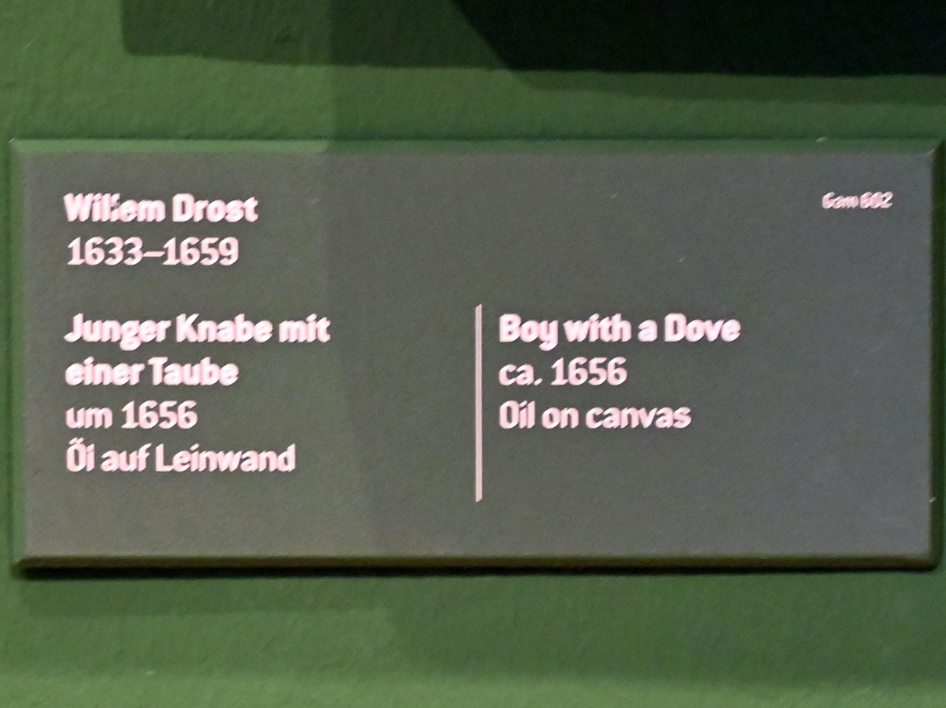 Willem Drost (1654–1656), Junger Knabe mit einer Taube, Innsbruck, Tiroler Landesmuseum, Ferdinandeum, Saal 15, um 1656, Bild 2/2