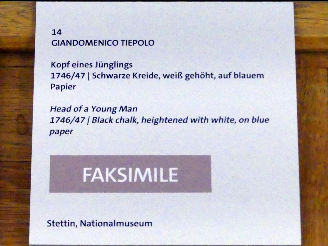 Giovanni Domenico Tiepolo (1743–1785), Kopf eines Jünglings (Faksimile), Würzburg, Martin von Wagner Museum, Ausstellung "Tiepolo und seine Zeit in Würzburg" vom 31.10.2020-15.07.2021, Saal 1, 1746–1747, Bild 3/3