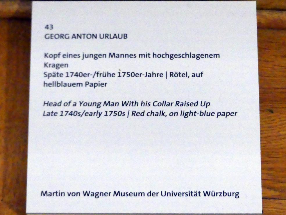 Georg Anton Urlaub (1735–1758), Kopf eines jungen Mannes mit hochgeschlagenem Kragen, Würzburg, Martin von Wagner Museum, Ausstellung "Tiepolo und seine Zeit in Würzburg" vom 31.10.2020-15.07.2021, Saal 2, um 1749–1751, Bild 3/4