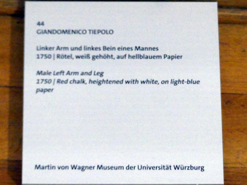 Giovanni Domenico Tiepolo (1743–1785), Linker Arm und linkes Bein eines Mannes, Würzburg, Martin von Wagner Museum, Ausstellung "Tiepolo und seine Zeit in Würzburg" vom 31.10.2020-15.07.2021, Saal 2, 1750, Bild 3/3