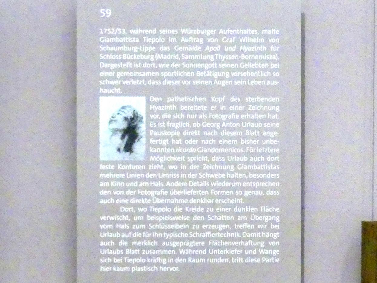 Georg Anton Urlaub (1735–1758), Nach links aufblickender Jünglingskopf, Würzburg, Martin von Wagner Museum, Ausstellung "Tiepolo und seine Zeit in Würzburg" vom 31.10.2020-15.07.2021, Saal 2, 1752–1753, Bild 4/4