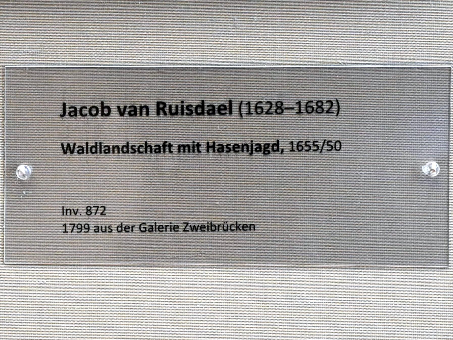 Jacob van Ruisdael (1646–1677), Waldlandschaft mit Hasenjagd, München, Alte Pinakothek, Obergeschoss Kabinett 17, 1650–1655, Bild 2/2