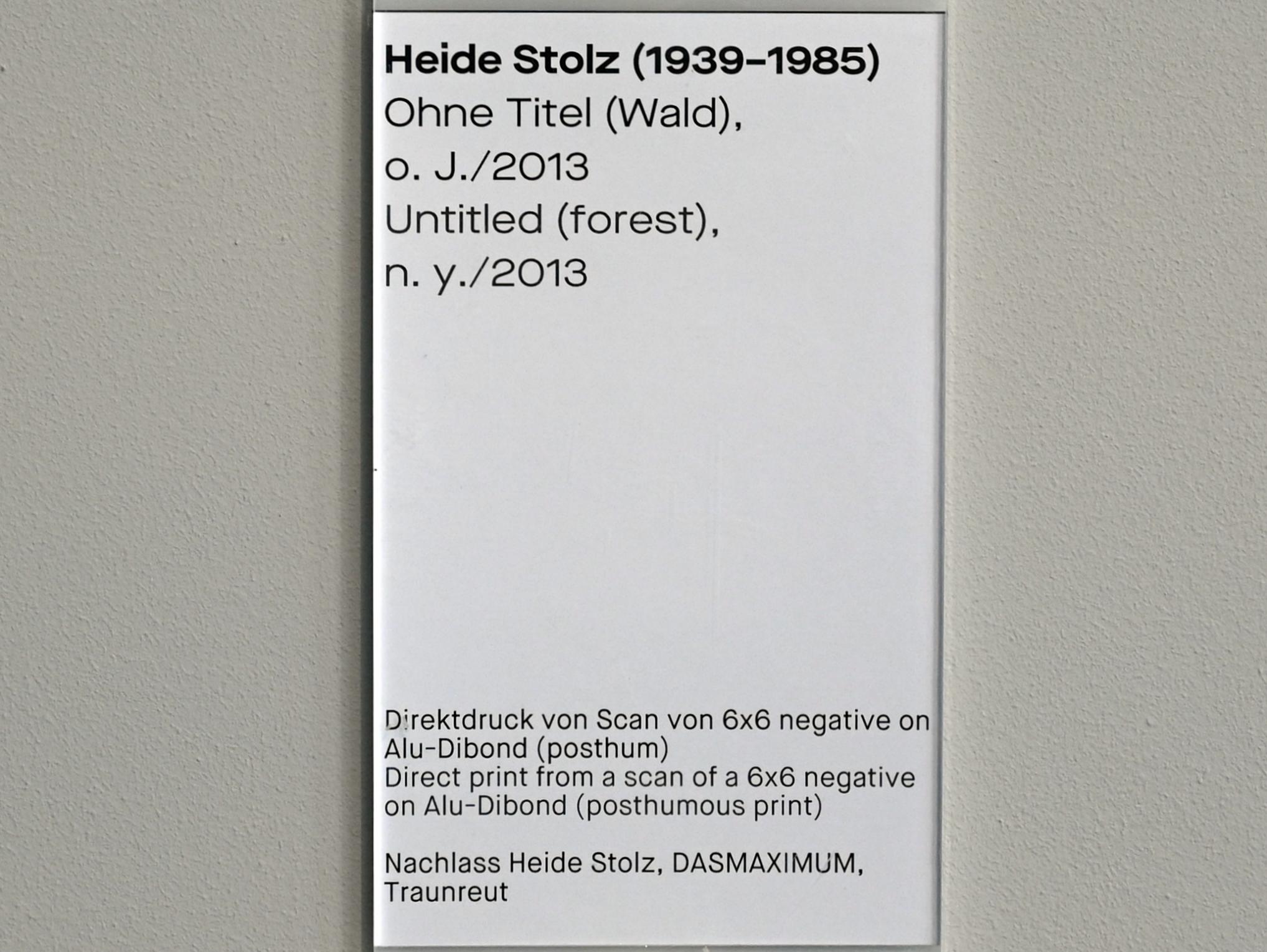 Heide Stolz (1960–1969), Ohne Titel (Wald), Chemnitz, Museum Gunzenhauser, Saal 1.10 - Uwe Lausen und Heide Stolz, Undatiert, Bild 2/2