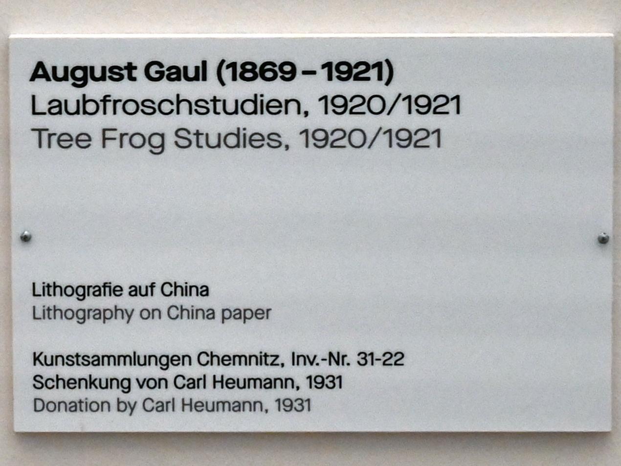 August Gaul (1915–1920), Laubfroschstudien, Chemnitz, Kunstsammlungen am Theaterplatz, Saal 1, 1920–1921, Bild 2/2