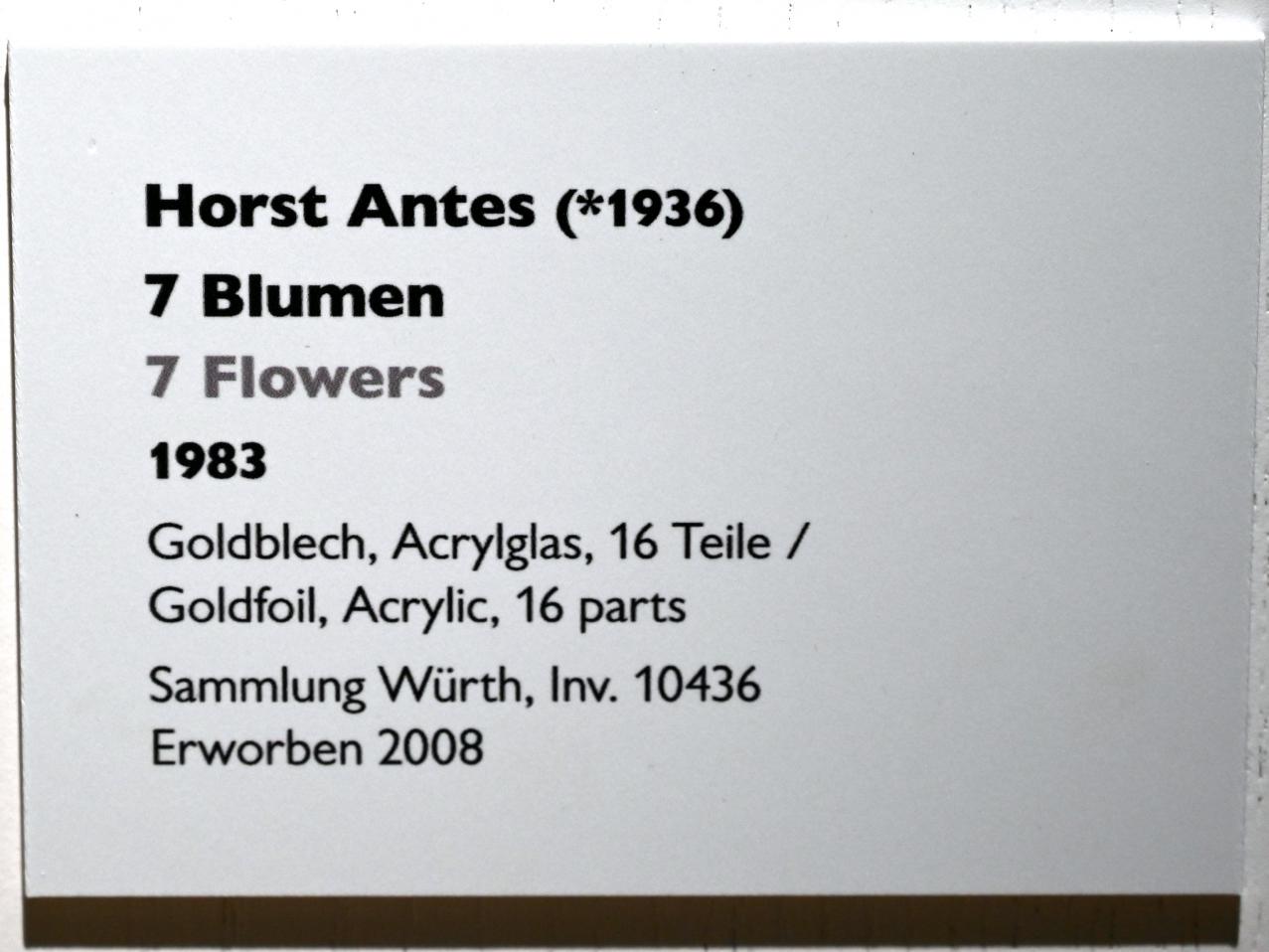Horst Antes (1964–1993), 7 Blumen, Künzelsau, Museum Würth 2, Kabinett im Untergeschoß, 1983, Bild 3/3