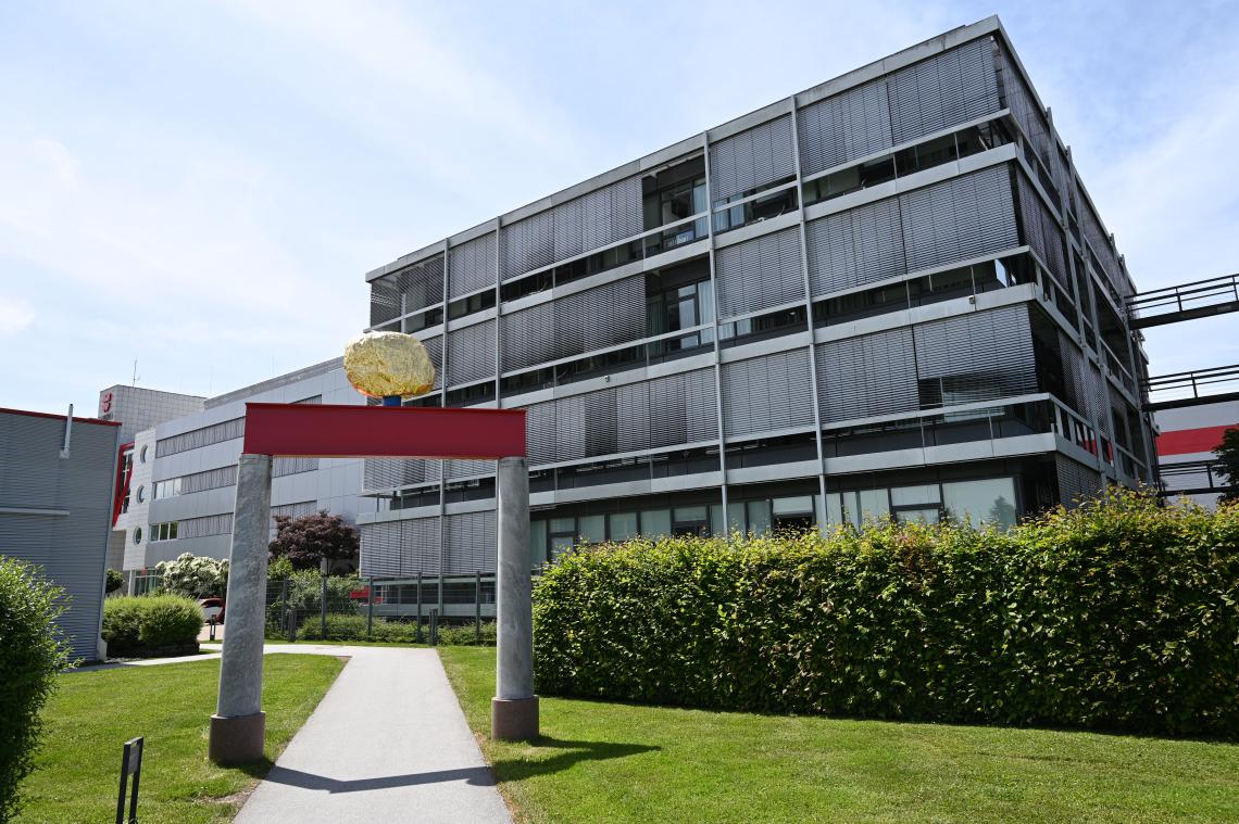 Heinrich Brummack (1989–2009), Tor mit goldenem Stein, Künzelsau, Skulpturengarten am Carmen Würth Forum, 1989, Bild 4/5