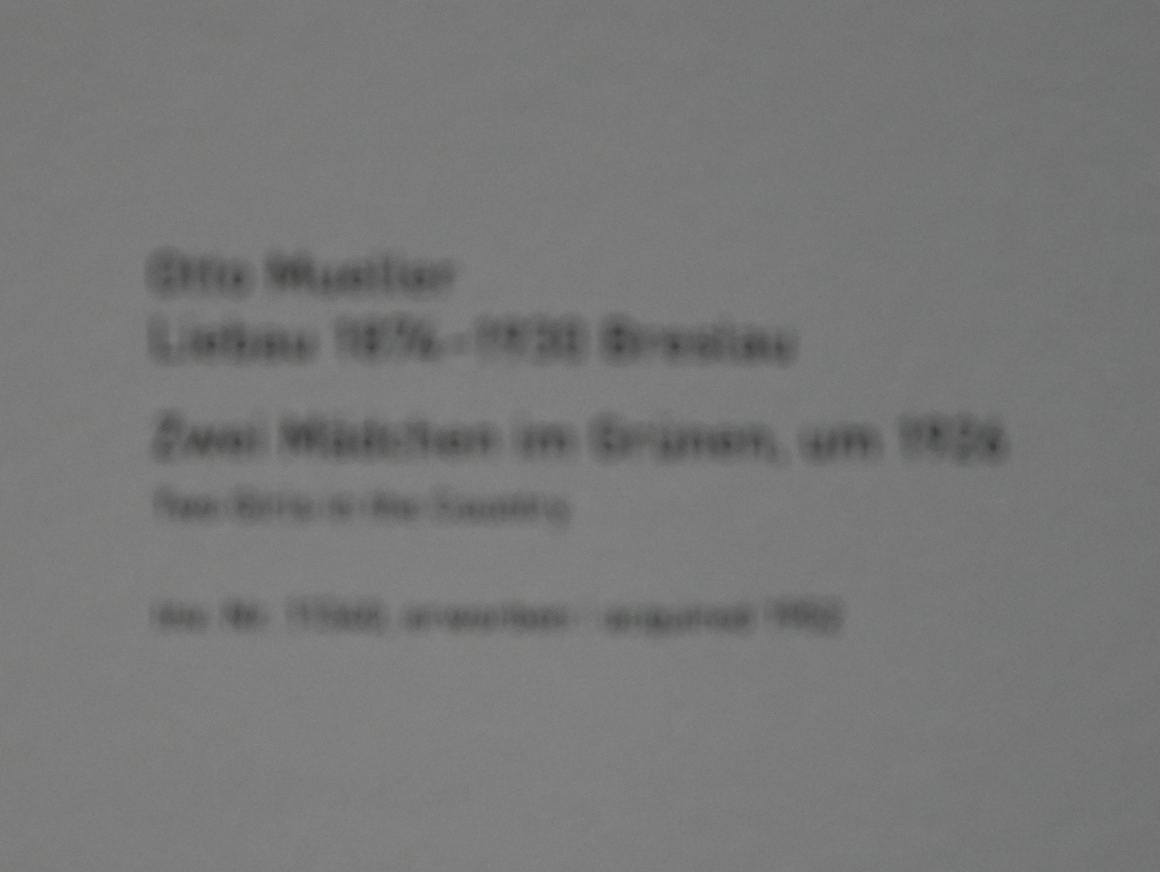 Otto Mueller (1914–1928), Zwei Mädchen im Grünen, München, Pinakothek der Moderne, Saal 1, um 1926, Bild 2/2