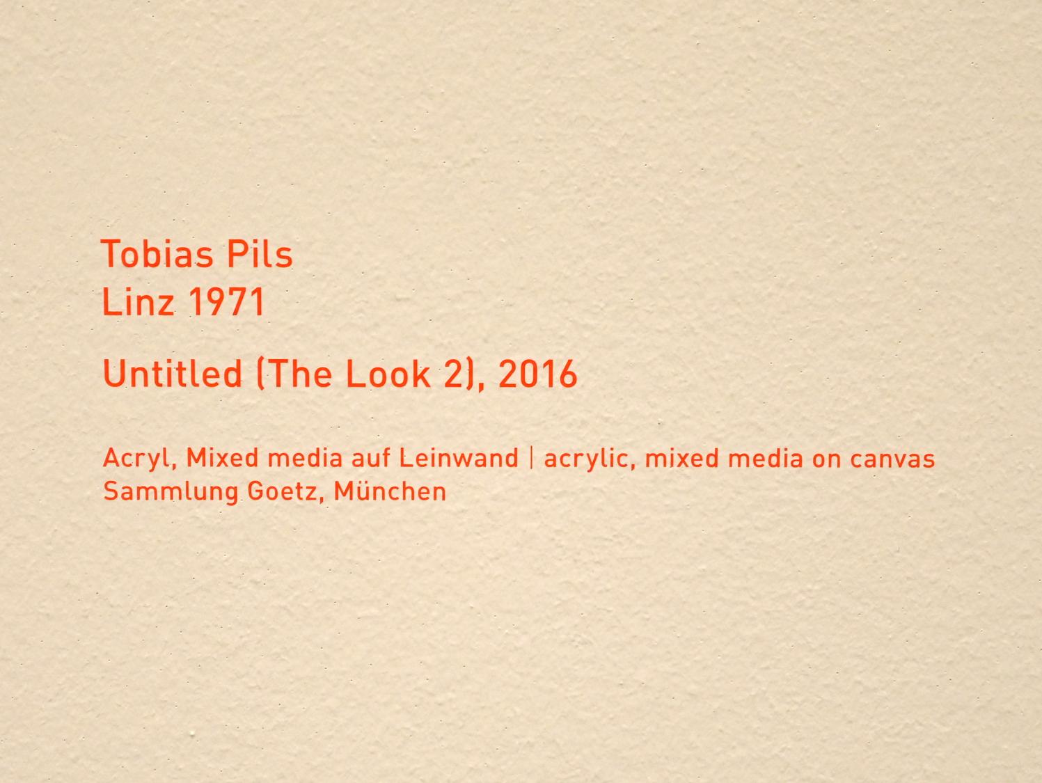 Tobias Pils (2016), Untitled (The Look 2), München, Pinakothek der Moderne, Saal 6, 2016, Bild 2/2