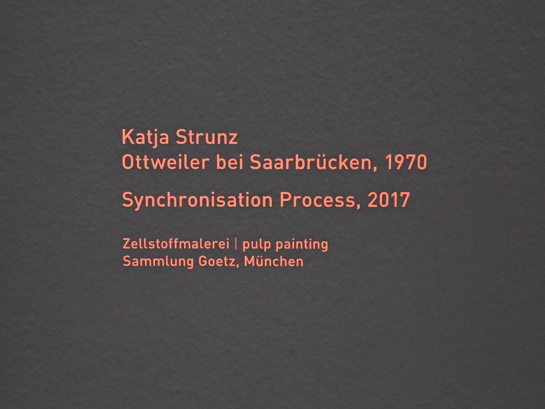 Katja Strunz (2006–2017), Synchronisation Process, München, Pinakothek der Moderne, Saal 11, 2017, Bild 2/2