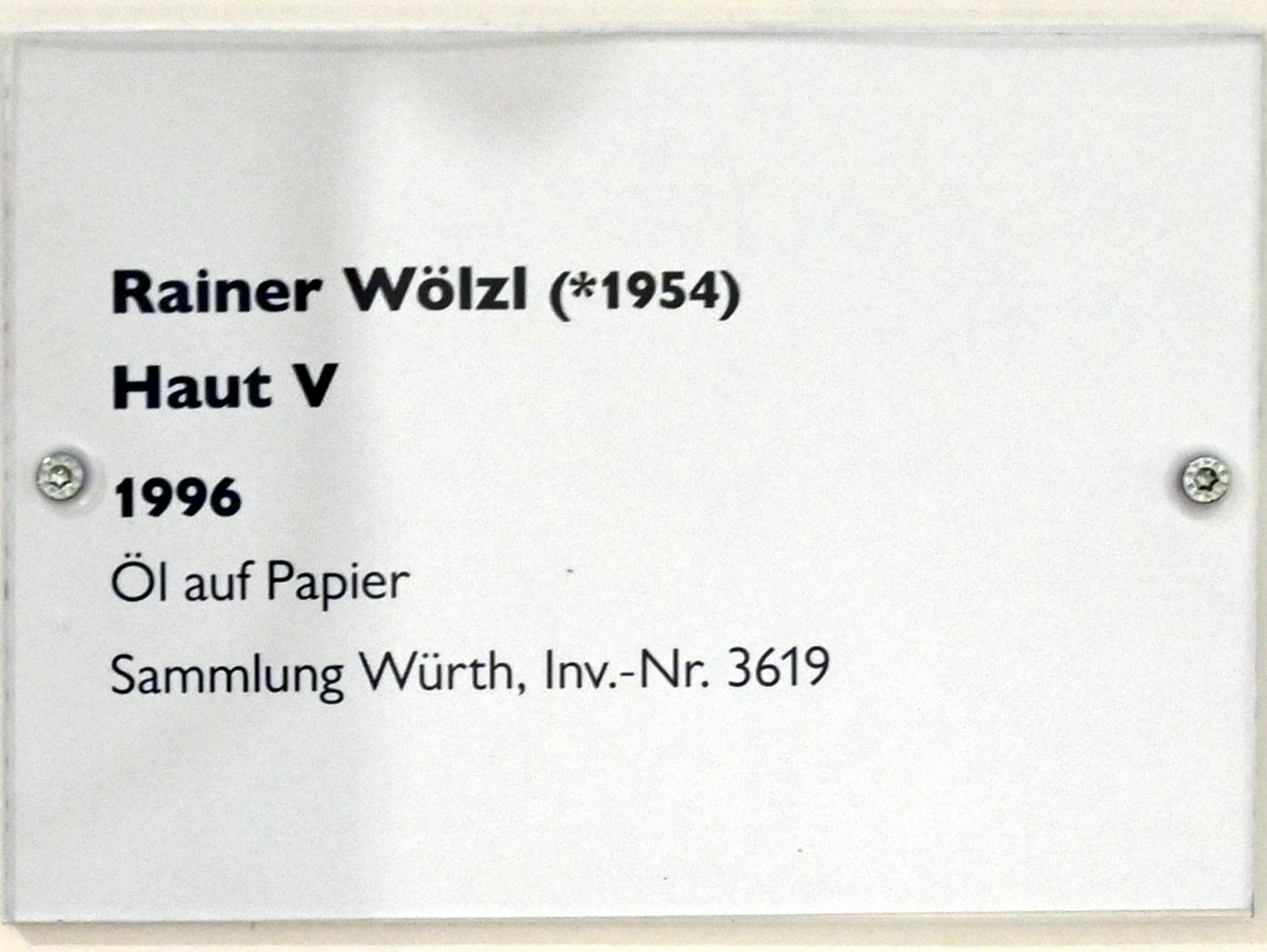 Rainer Wölzl (1996), Haut V, Schwäbisch Hall, Kunsthalle Würth, Untergeschoß Saal 1, 1996, Bild 2/2