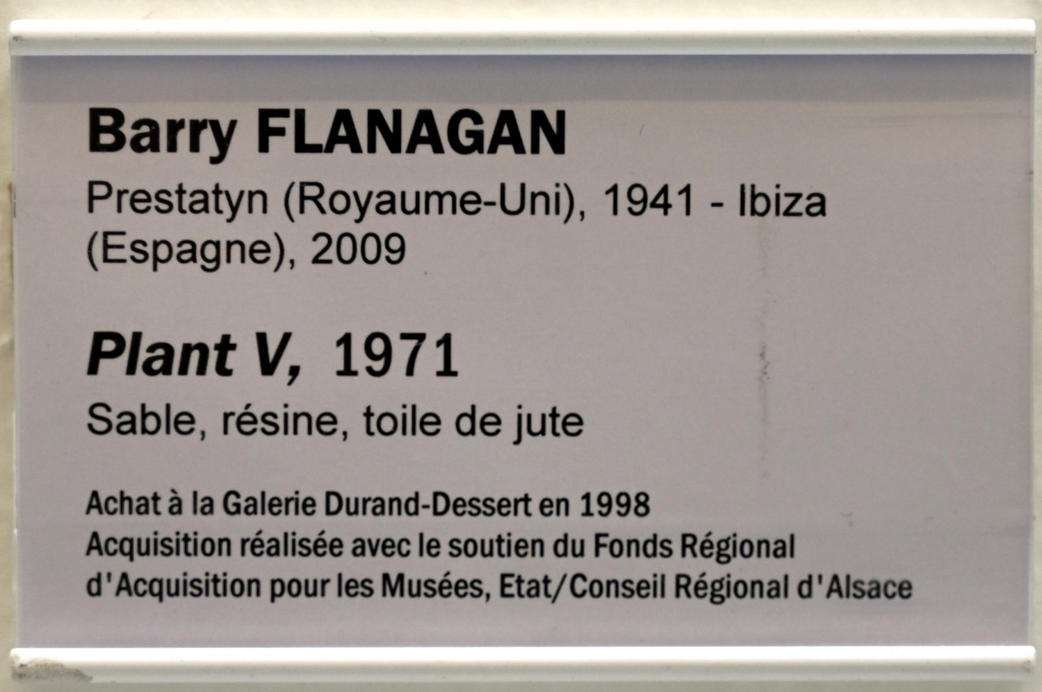 Barry Flanagan (1971–2005), Pflanze V, Straßburg, Musée d’Art moderne et contemporain, Saal Obergeschoß 2, 1971, Bild 3/3