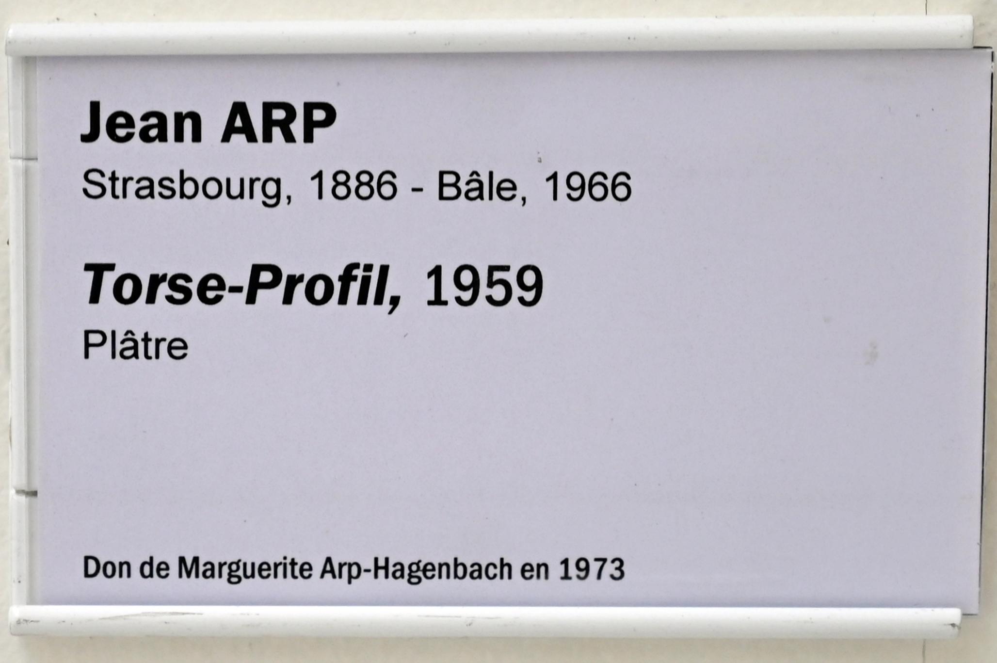 Hans (Jean) Arp (1914–1965), Torso-Profil, Straßburg, Musée d’Art moderne et contemporain, Saal Obergeschoß 6, 1959, Bild 3/3