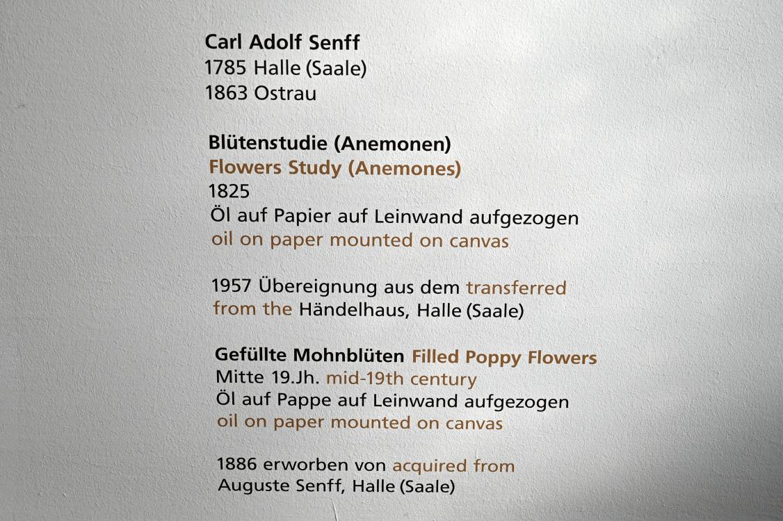 Carl Adolf Senff (1825–1859), Gefüllte Mohnblüten, Halle (Saale), Kunstmuseum Moritzburg, Alte Meister Saal 6, Mitte 19. Jhd., Bild 2/2