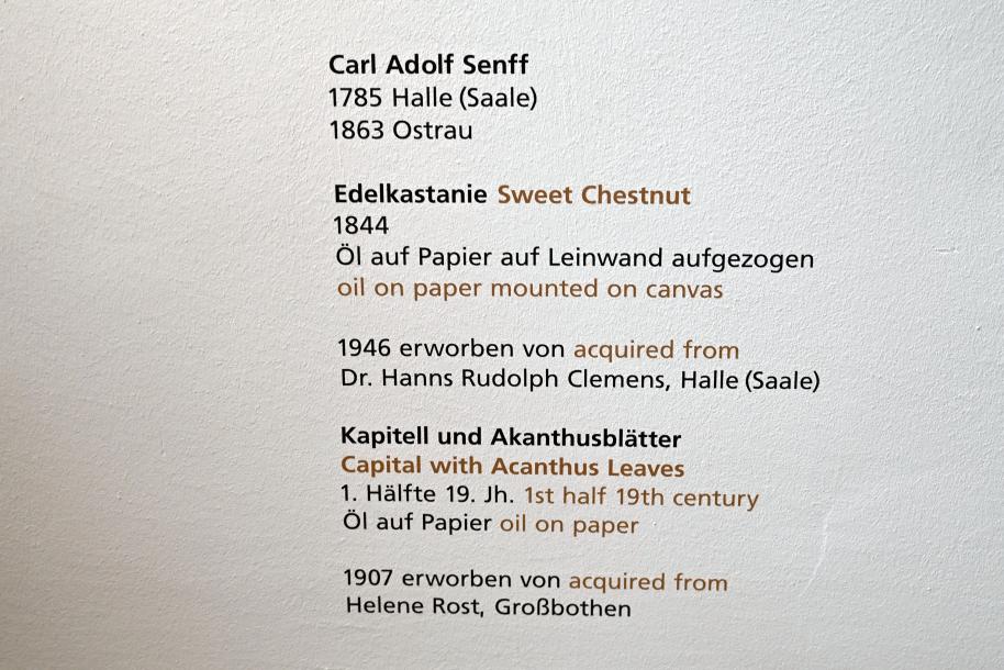 Carl Adolf Senff (1825–1859), Edelkastanie, Halle (Saale), Kunstmuseum Moritzburg, Alte Meister Saal 6, 1844, Bild 2/2