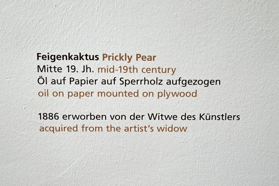 Carl Adolf Senff (1825–1859), Feigenkaktus, Halle (Saale), Kunstmuseum Moritzburg, Alte Meister Saal 6, Mitte 19. Jhd., Bild 2/2