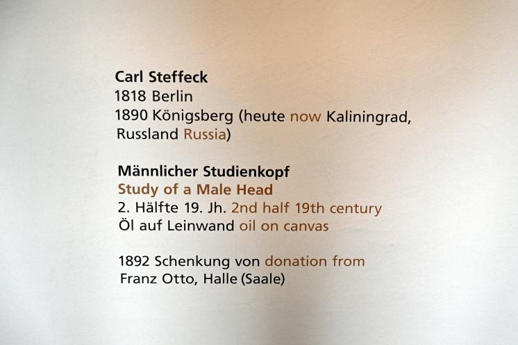 Carl Steffeck (1865–1890), Männlicher Studienkopf, Halle (Saale), Kunstmuseum Moritzburg, Alte Meister Saal 1, 2. Hälfte 19. Jhd., Bild 2/2